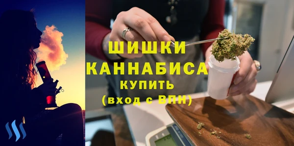 молекула духа Богородицк