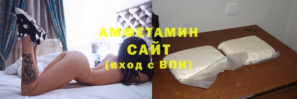 молекула духа Богородицк