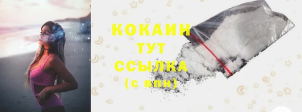 молекула духа Богородицк