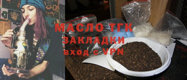 молекула духа Богородицк