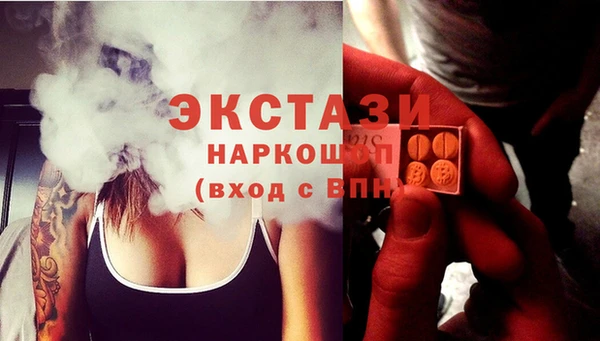 молекула духа Богородицк