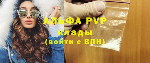 молекула духа Богородицк