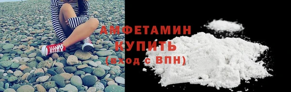 молекула духа Богородицк
