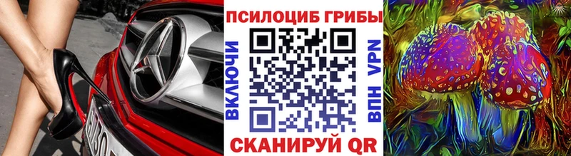 Купить закладки  Пестово  Галлюциногенные грибы мухоморы 